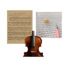 대구 수성구 바이올린 레슨 🎻 유치부 초등 맞춤지도 캐슬음악학원 후기 ( 미뉴에트 )