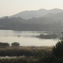 고은보석