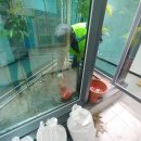 서희학교 이미지