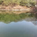 광릉금리원 이미지