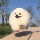 노랑통닭 선릉점 이미지