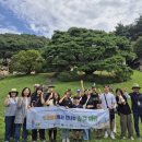 힐링포레스트 이미지