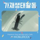 카페가재 이미지