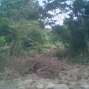 내천농장 이미지