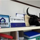 SM부동산중개사무소 네이버블로그