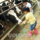 최고다목장 이미지