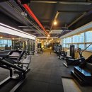 황바디짐 이미지