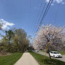 체리네 민박 이미지