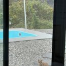 효니네 민박 이미지