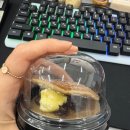 요안3호 이미지