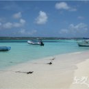 투어어드바이저(주) 이미지