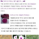 한동농장 이미지