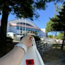 횡성군 체육관 수영장 이미지