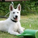 송파데일리동물병원 이미지