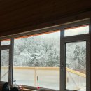 통나무펜션&편백쉼터 | [경기도광주, 곤지암] 가족,친구 단체 숙소 추천 "곤지암펜션 통나무 캠프"