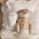 선덕 사우나 | 경주 한옥 펜션 스테이 감성숙소 추천 | 오소한옥스테이