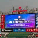 24.08.08 롯데자이언츠 vs NC 다이노스 직관 후기(?)