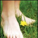 박달나무한의원 이미지