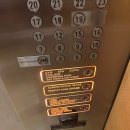HOTEL Voll One(호텔 볼 원) | 26년 7월 말레이시아: 쿠알라룸푸르 숙소 '원 월드 호텔 One World Hotel' 이그제큐티브룸 후기