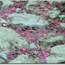 구름산방 이미지