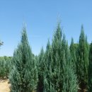 다경농장 이미지