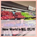 뉴질랜드투키위 | [뉴질랜드 여행기 와나카] New World 뉴월드 - #여행 7일차 와나카 대형 마트 솔직 리뷰 후기