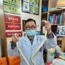 분당에덴동물병원 이미지