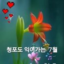 ⌛️눈을 밝게 하는 7가지 방법⏳️ 이미지