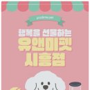 블루아이즈캣 | 수원랙돌분양 후기 – 화성에서 만난 천사 같은 랙돌 고양이