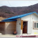 외양포경로당 Daum카페