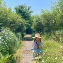 모래 민박 이미지