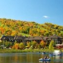 블루마운틴 이미지