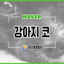 학장동물병원 이미지