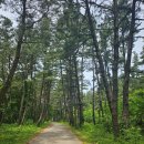 나리 야영장 옆 이미지