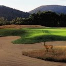 나인브릿지CC 이미지