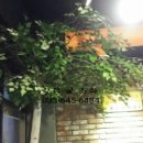 강릉꽃조화