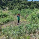 오광농장 이미지