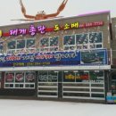 대게총판도소매