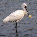 북포초등학교 이미지