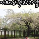 기장도예관광힐링촌 이미지