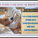 천지가축약품 네이버블로그