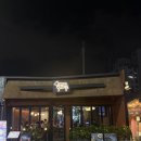 [서울 마포구/공덕동 맛집] 육회어때 공덕점 후기