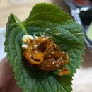 파주알곱창 | 운정 곱창 맛집 참맛깔곱창 후기 운정 배달맛집 야채곱창 추천