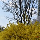 금호강7 이미지