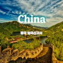 7seven PC | 중국 입국신고서 작성 방법 총정리 필수 체크사항