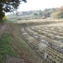 전대2리 이미지