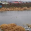 고니농장 이미지