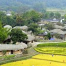 외암마을 이미지