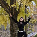 보석사   은행나무 이미지