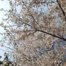 그린풍경 이미지